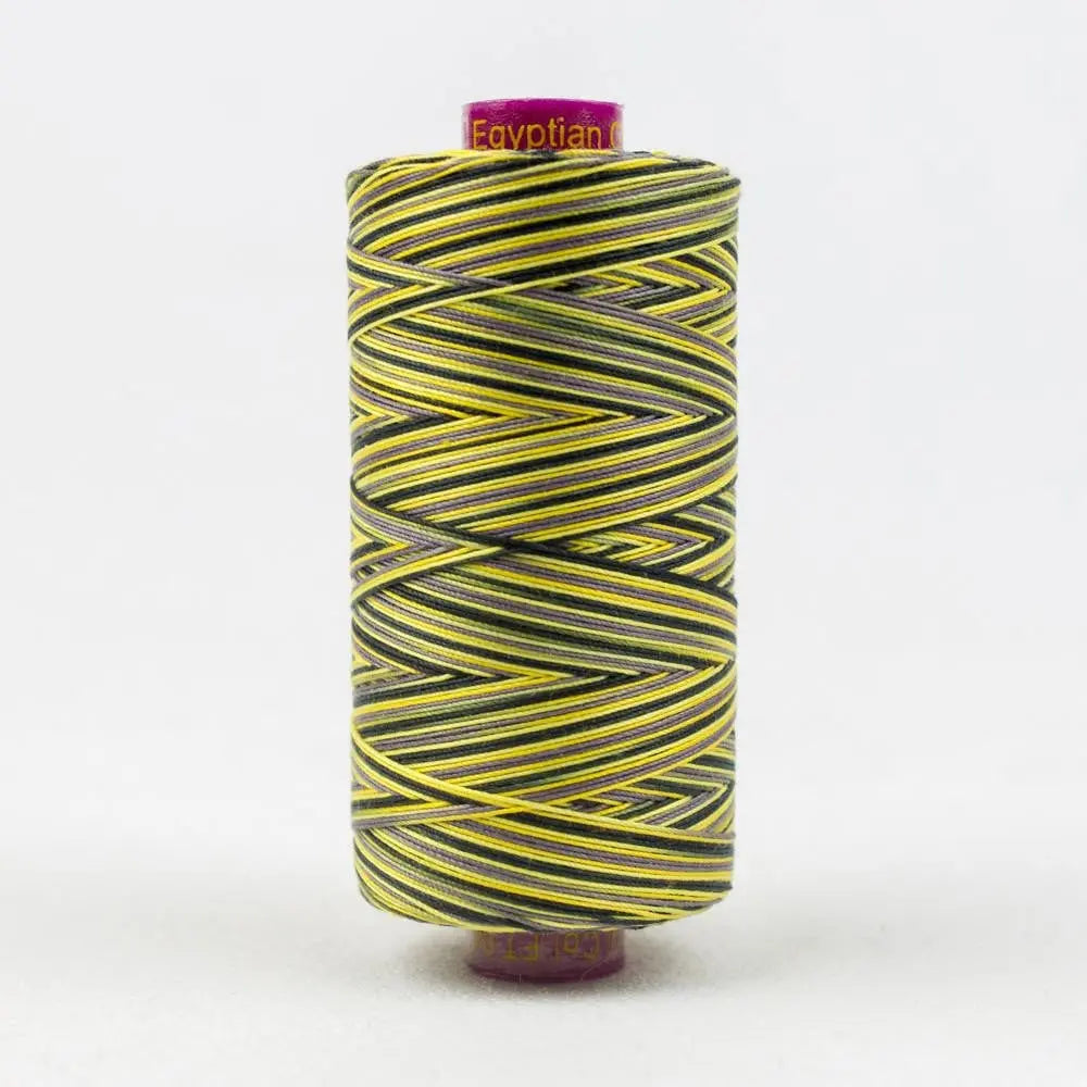 FT04 - Fruitti™ 12wt Egyptian Cotton Bumblebee Thread