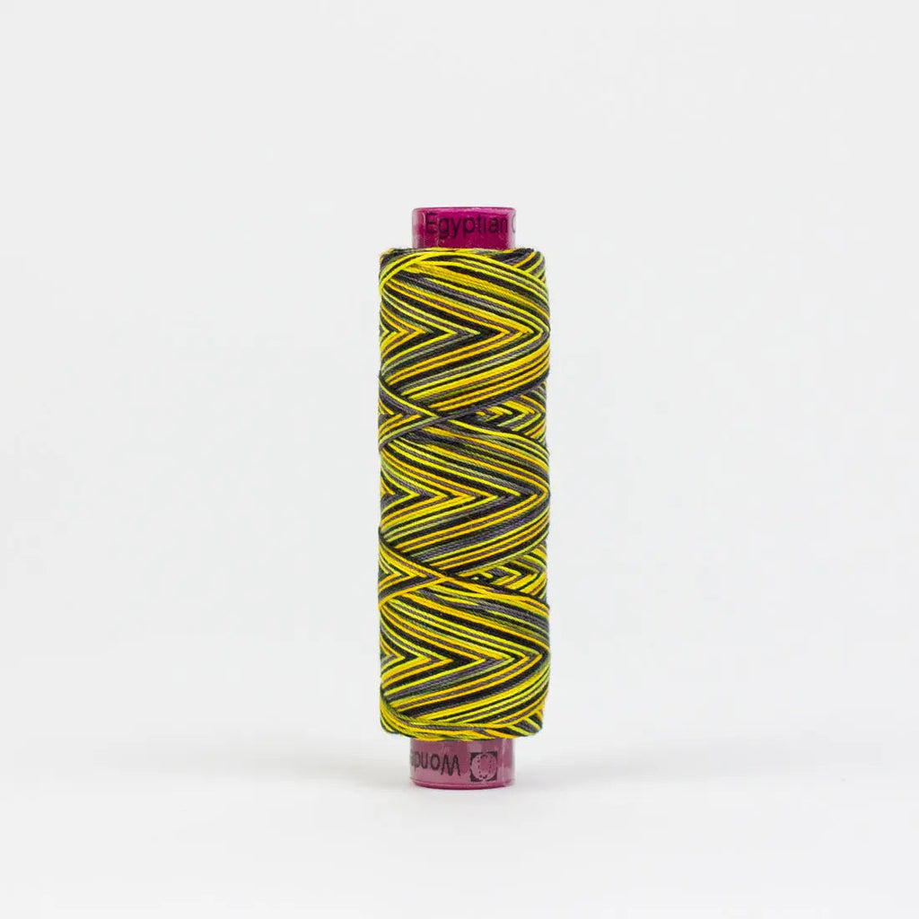 FT04 - Fruitti™ 12wt Egyptian Cotton Bumblebee Thread