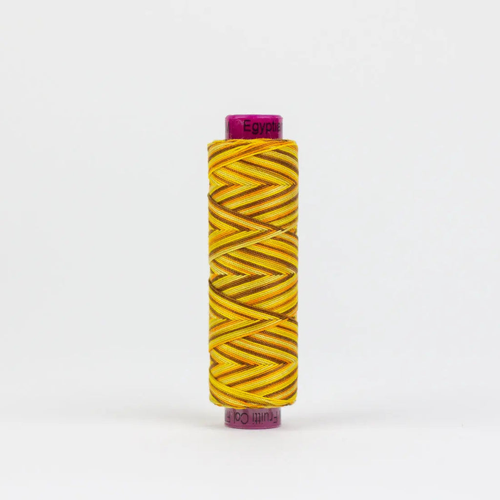 FT06 - Fruitti™ 12wt Egyptian Cotton Sunflower Thread