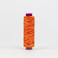 FT09 - Fruitti™ 12wt Egyptian Cotton Serenade Thread