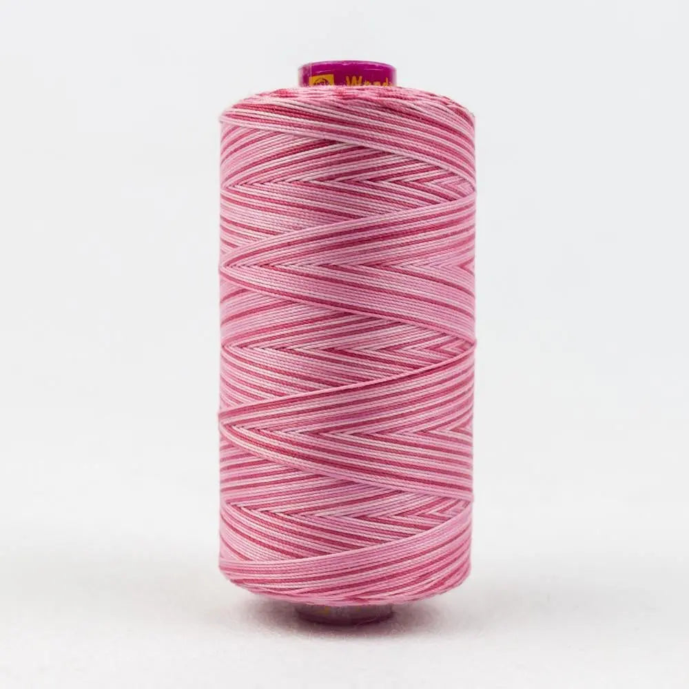 FT13 - Fruitti™ 12wt Egyptian Cotton Hibiscus Thread