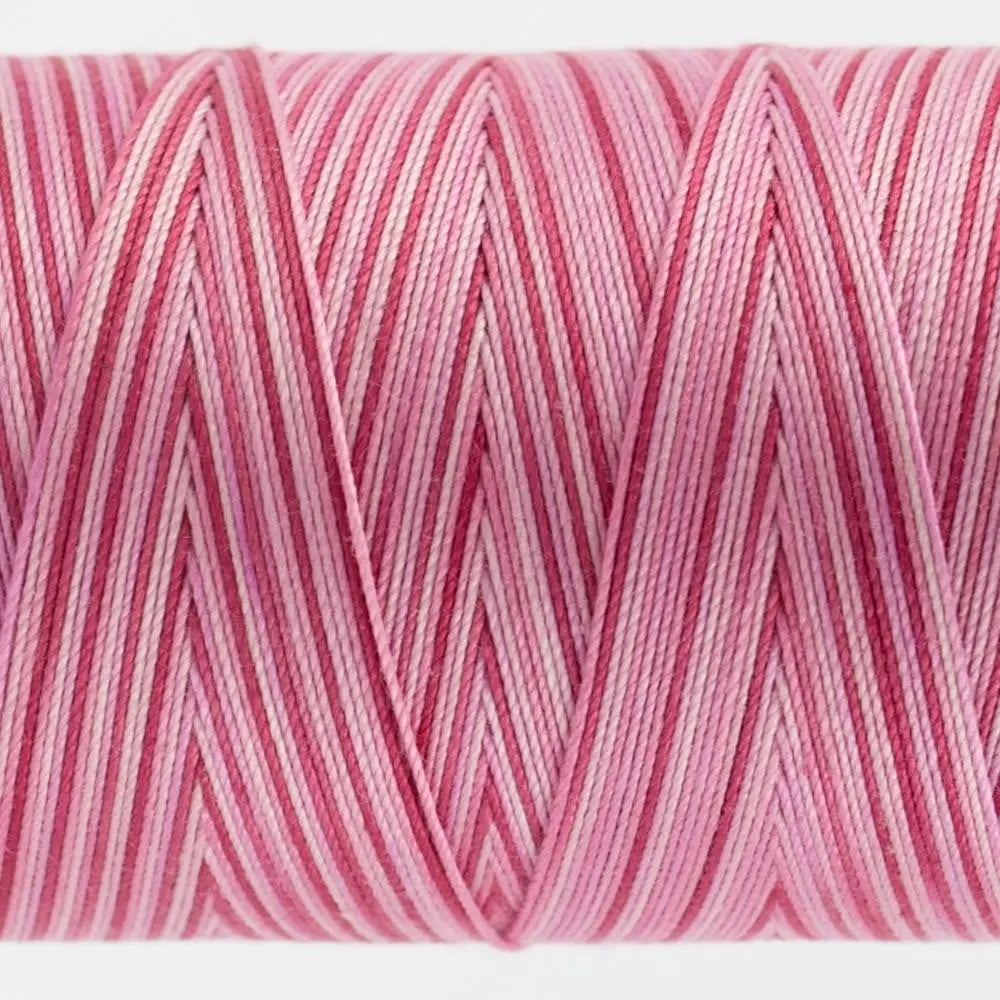 FT13 - Fruitti™ 12wt Egyptian Cotton Hibiscus Thread