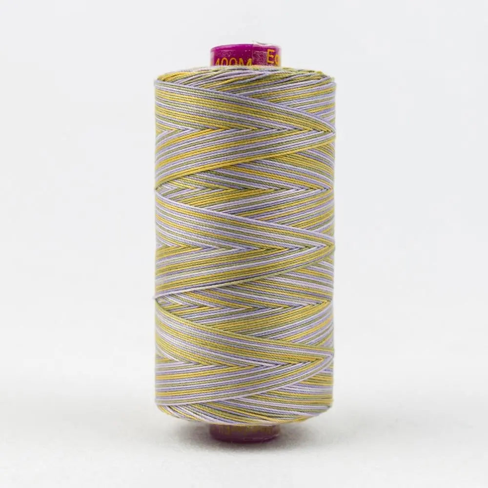 FT14 - Fruitti™ 12wt Egyptian Cotton Spring Thread