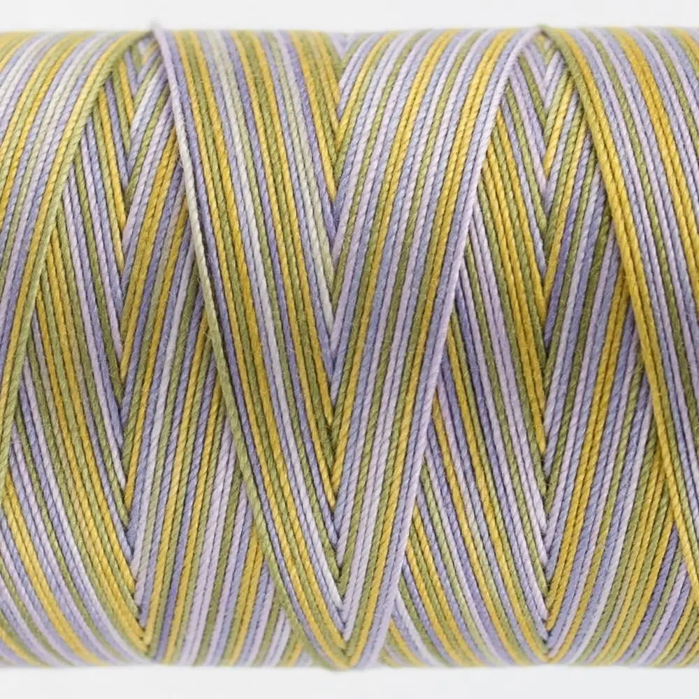 FT14 - Fruitti™ 12wt Egyptian Cotton Spring Thread