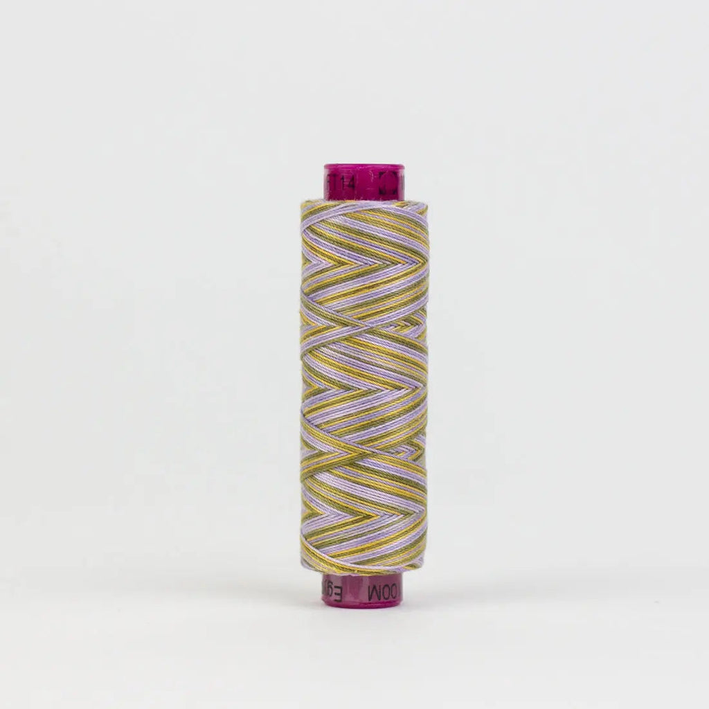 FT14 - Fruitti™ 12wt Egyptian Cotton Spring Thread