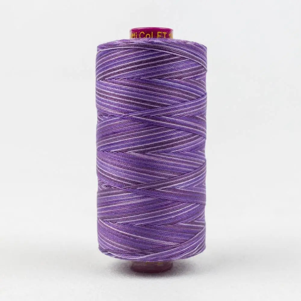 FT18 - Fruitti™ 12wt Egyptian Cotton Blueberry Thread