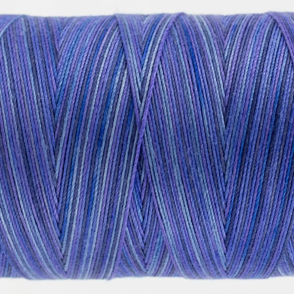 FT20 - Fruitti™ 12wt Egyptian Cotton Storm Thread