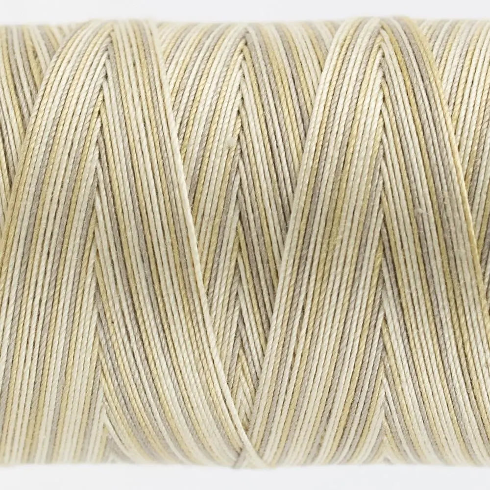 FT25 - Fruitti™ 12wt Egyptian Cotton Fall Leaves Thread