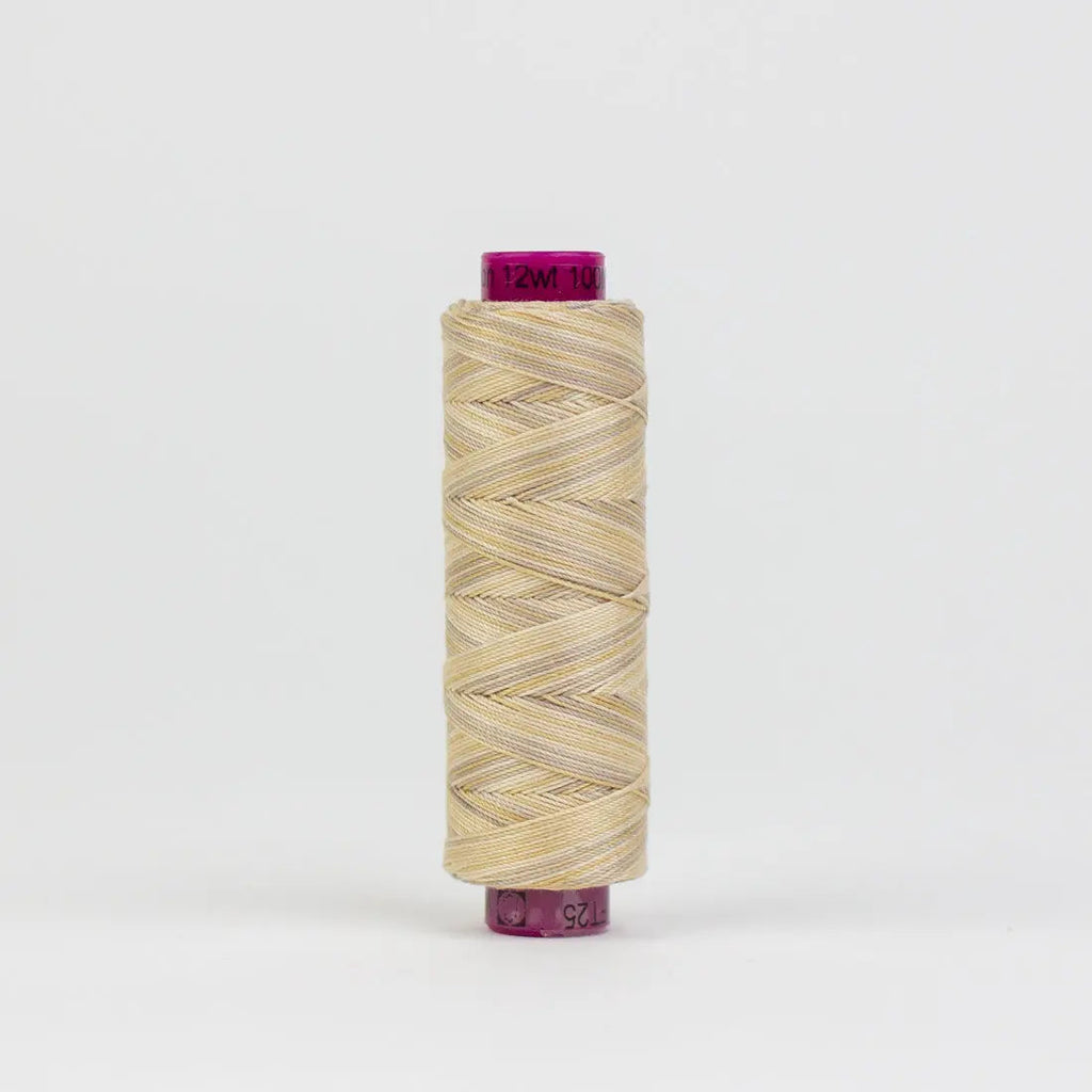 FT25 - Fruitti™ 12wt Egyptian Cotton Fall Leaves Thread