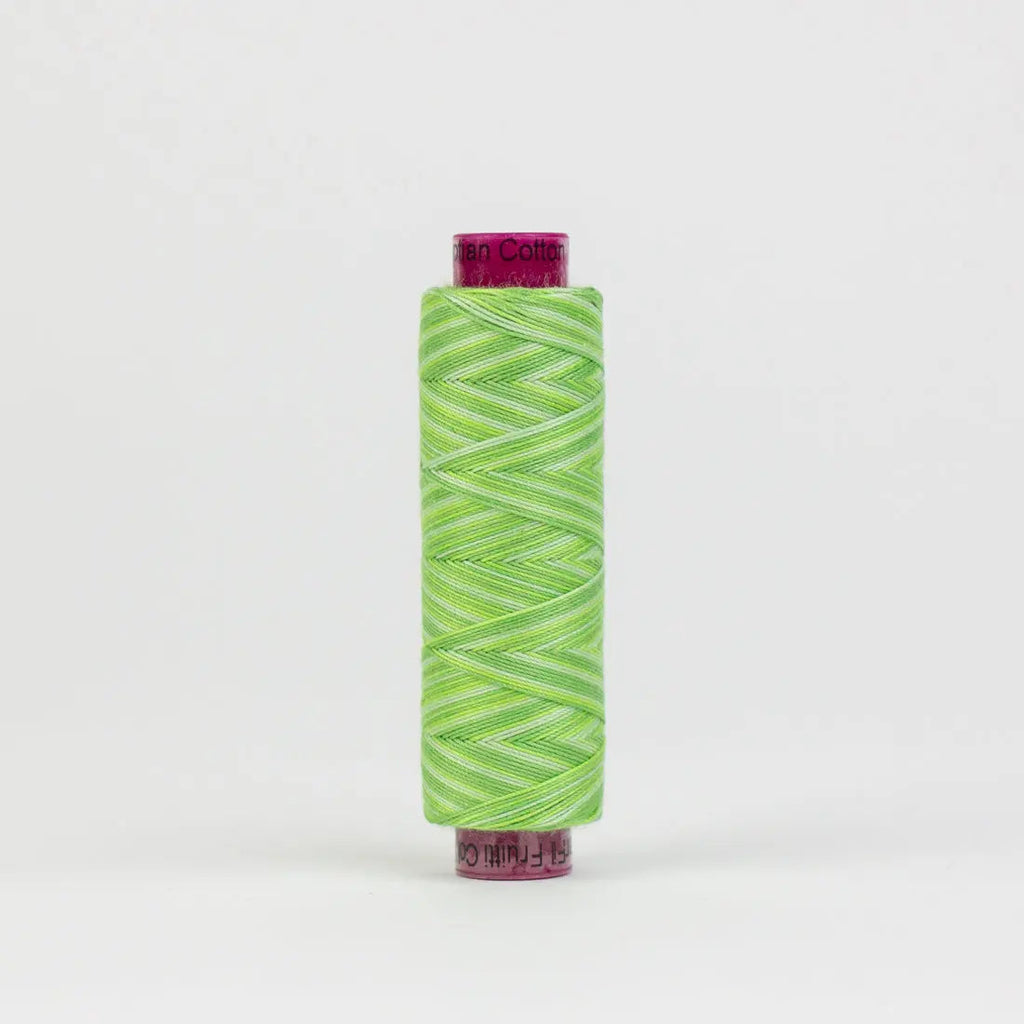 FT28 - Fruitti™ 12wt Egyptian Cotton Lime Thread