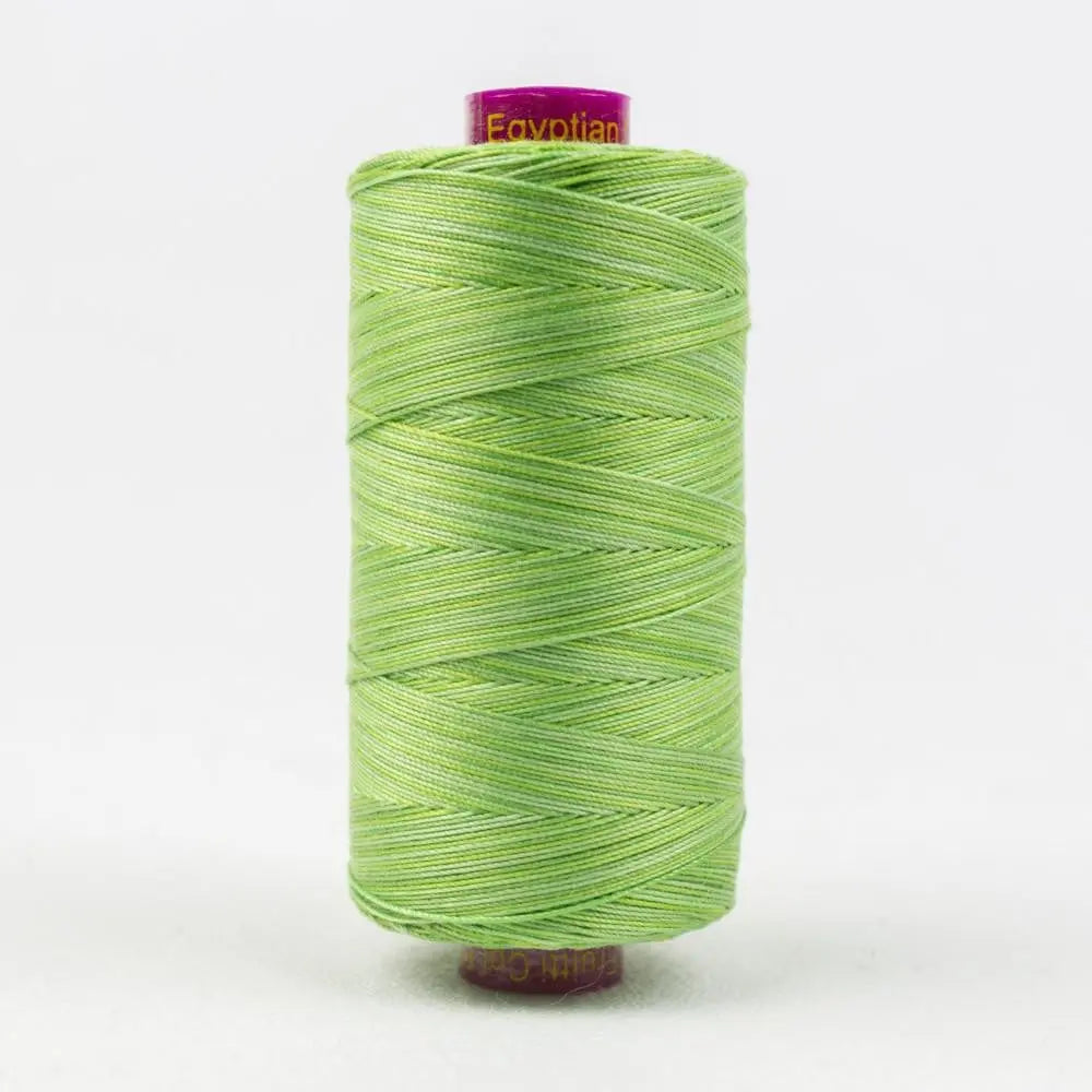 FT29 - Fruitti™ 12wt Egyptian Cotton Grass Thread