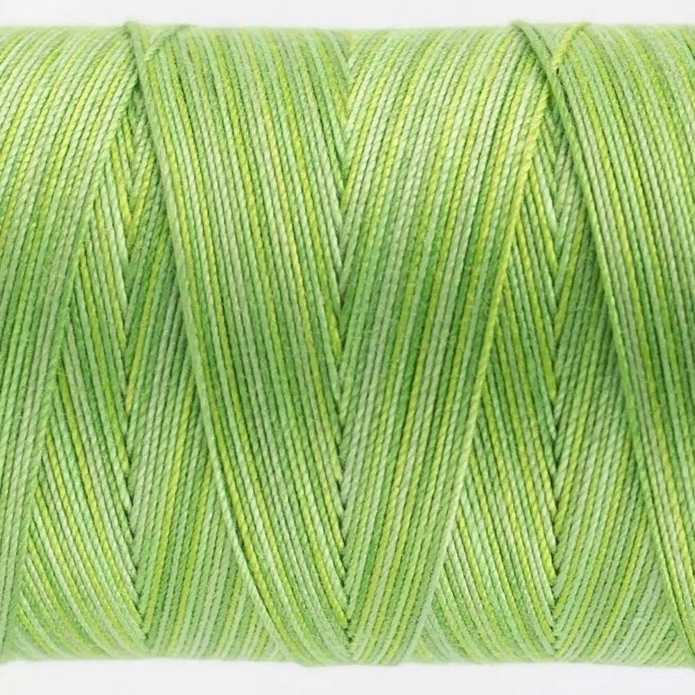 FT29 - Fruitti™ 12wt Egyptian Cotton Grass Thread