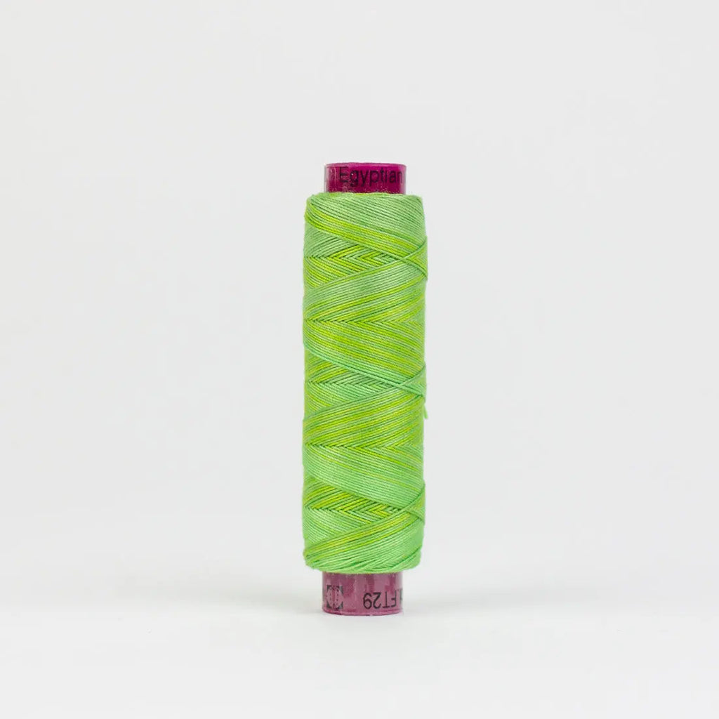 FT29 - Fruitti™ 12wt Egyptian Cotton Grass Thread