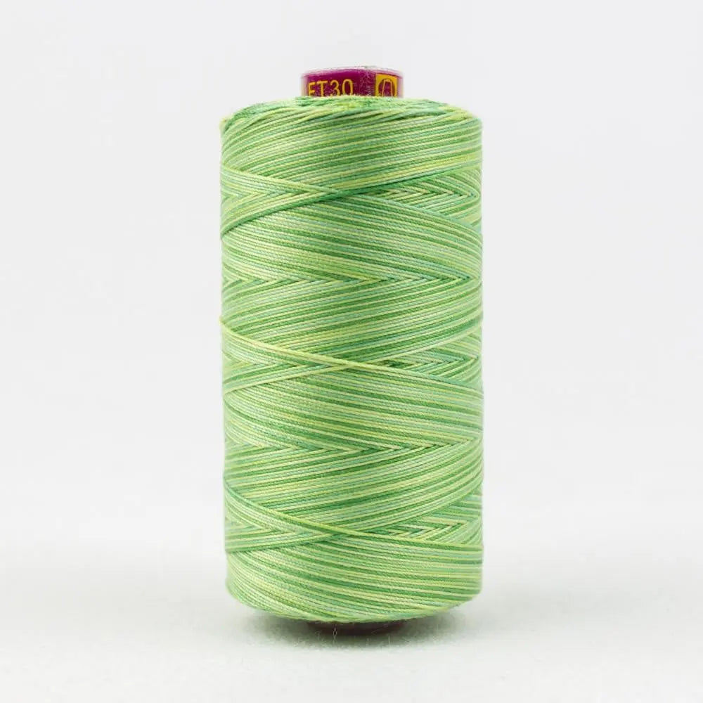 FT30 - Fruitti™ 12wt Egyptian Cotton Leaves Thread