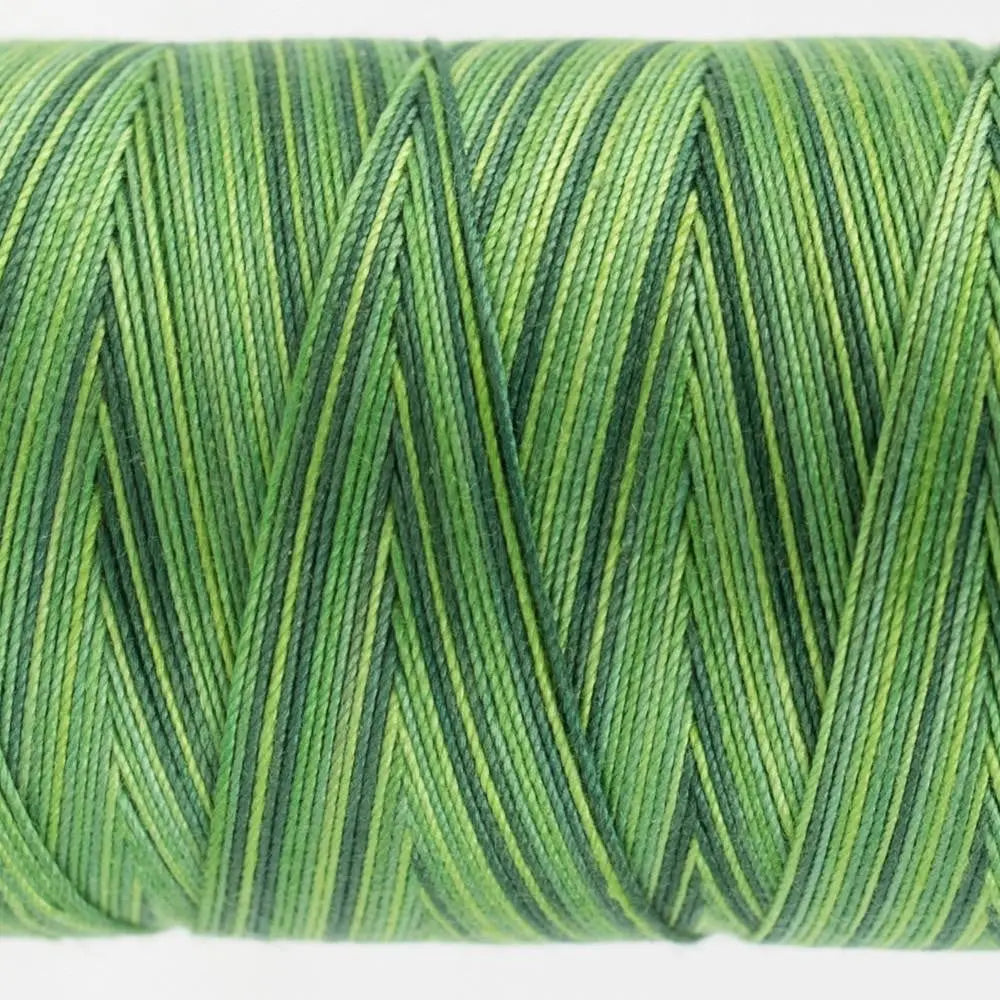 FT31 - Fruitti™ 12wt Egyptian Cotton Evergreen Thread