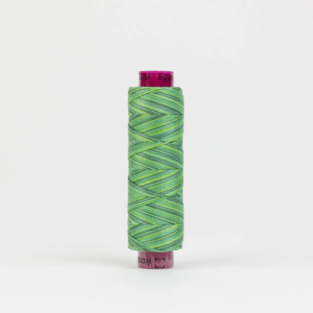 FT31 - Fruitti™ 12wt Egyptian Cotton Evergreen Thread