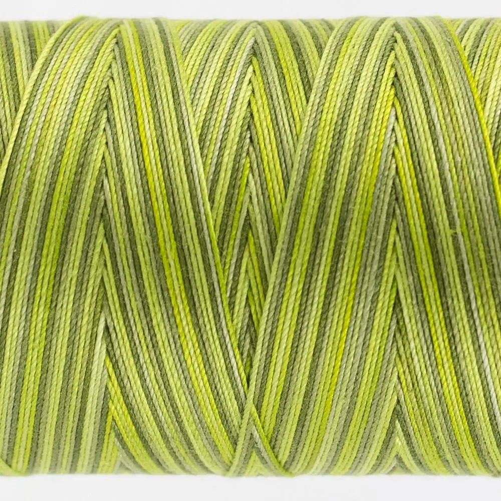FT32 - Fruitti™ 12wt Egyptian Cotton Moss Thread