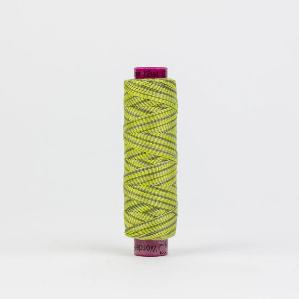 FT32 - Fruitti™ 12wt Egyptian Cotton Moss Thread