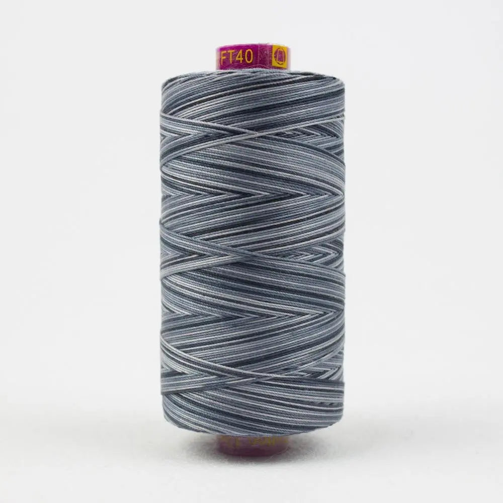 FT40 - Fruitti™ 12wt Egyptian Cotton Slate Thread