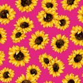 Flamingo Sunflower Dance 45" wide Fabric per yard