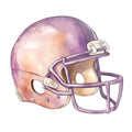 Football Helmet Fabric Panel 15