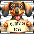 Funny Dog Mugshots Dachshund Fabric Panel