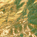 Gold Unicorn Faux  Leather 1/2 yard
