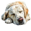 Golden Retriever Fabric Panel 1