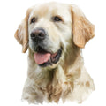 Golden Retriever Fabric Panel 10