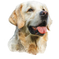 Golden Retriever Fabric Panel 26