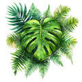 Hawaiian Paradise Fabric Panel 28
