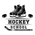 Hockey Silhouettes Fabric Panel 13