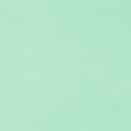 Honeydew Solid Cuddle 3 58/60" Fabric per yard