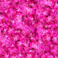 Hot Pink Quilt Backing - Crystal 45" Wide Cotton Fabric Per Yard