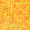 Felicity Flower Field Orange 44"/45" Fabric per Yard