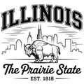 Illinois Black and White Fabric Panel