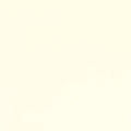 Ivory Cuddle 3 58/60" Solid Minky Fabric Per Yard