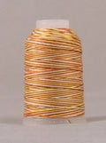 Jeans Stitch #3VA - Earthtone Variegated Mini Cone