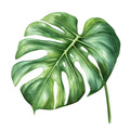 Jungle Tots Fabric Panel 23