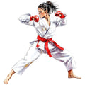 Karate Taekwondo Fabric Panel 10