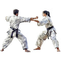 Karate Taekwondo Fabric Panel 4