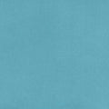 Lake Solid Cuddle 3 58/60" Fabric per yard