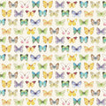 Large Butterflies - Multi Fluttering Florals Cotton 43"/44" Fabric Per Yard