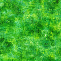 Lemon Lime Quilt Back - Grain Stone 108" wide Fabric per yard