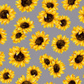Lt Gray Sunflower Dance 45" wide Fabric per yard