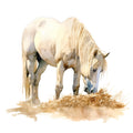 Majestic Horse Fabric Panel 12