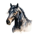 Majestic Horse Fabric Panel 22