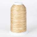 Majestic #402 - Sand Dollar Cone