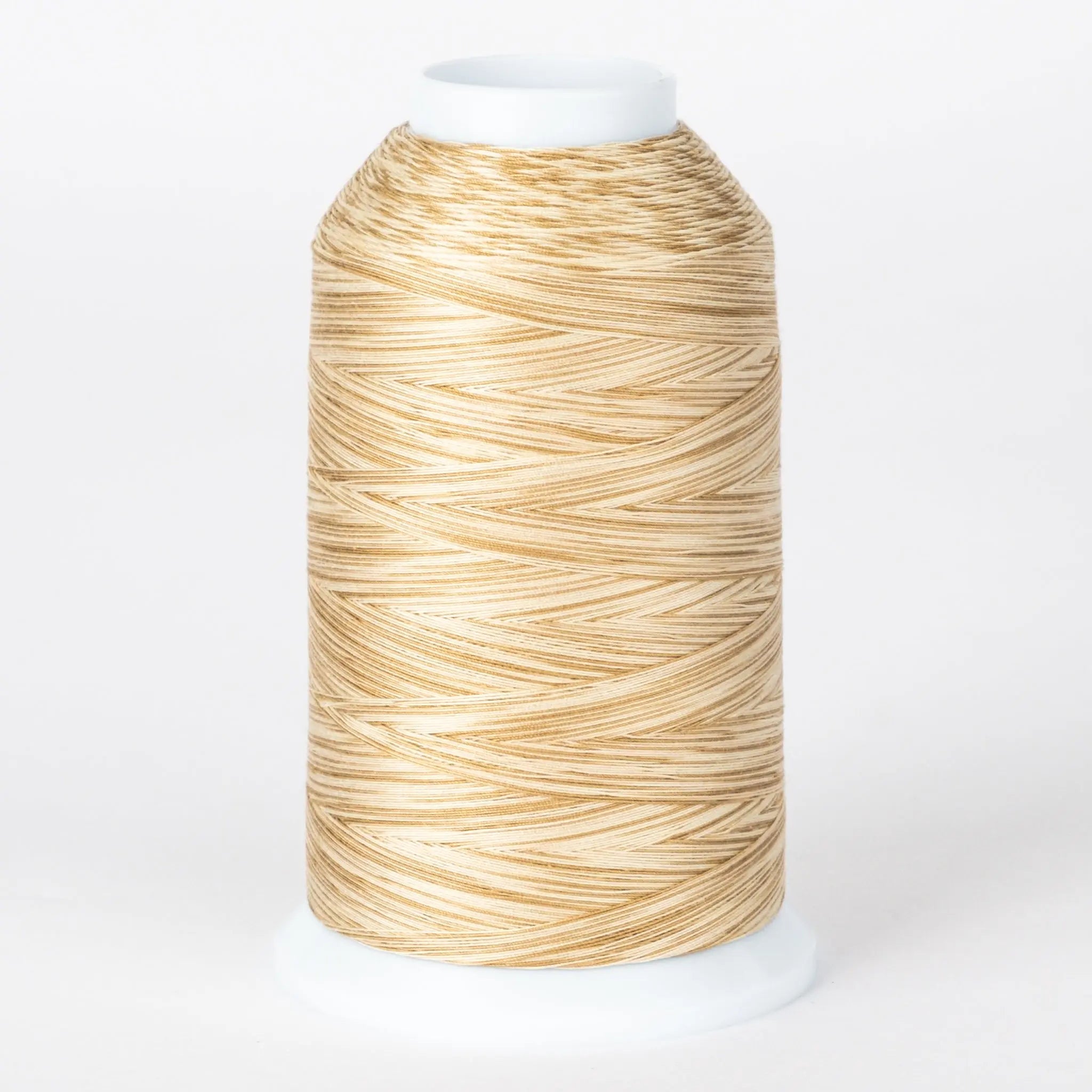 Majestic #402 - Sand Dollar Cone