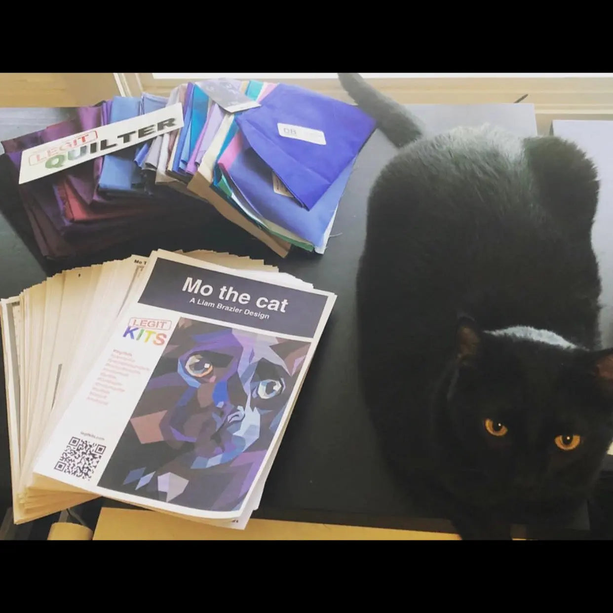 Mo the Cat Quilt Kit